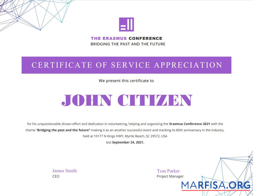 Printable USA Volunteer Certificate sample